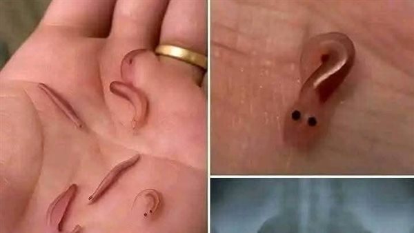 موقع أيام نيوز